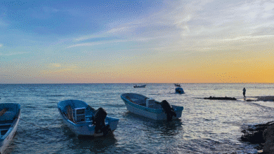 alcalde de progreso vigila mancha de algas tóxicas en playas; descartan impacto generalizado