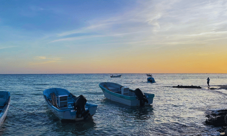 alcalde de progreso vigila mancha de algas tóxicas en playas; descartan impacto generalizado
