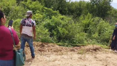 alcaldesa de mérida confirma múltiples denuncias por desmonte en la zona protegida de cuxtal