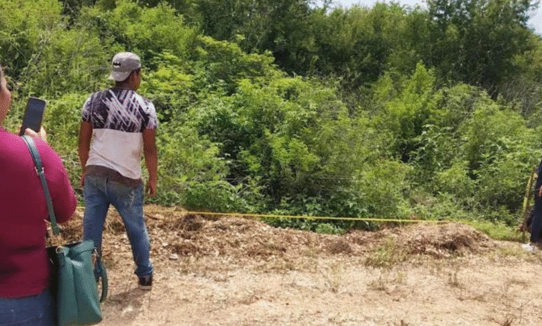 alcaldesa de mérida confirma múltiples denuncias por desmonte en la zona protegida de cuxtal