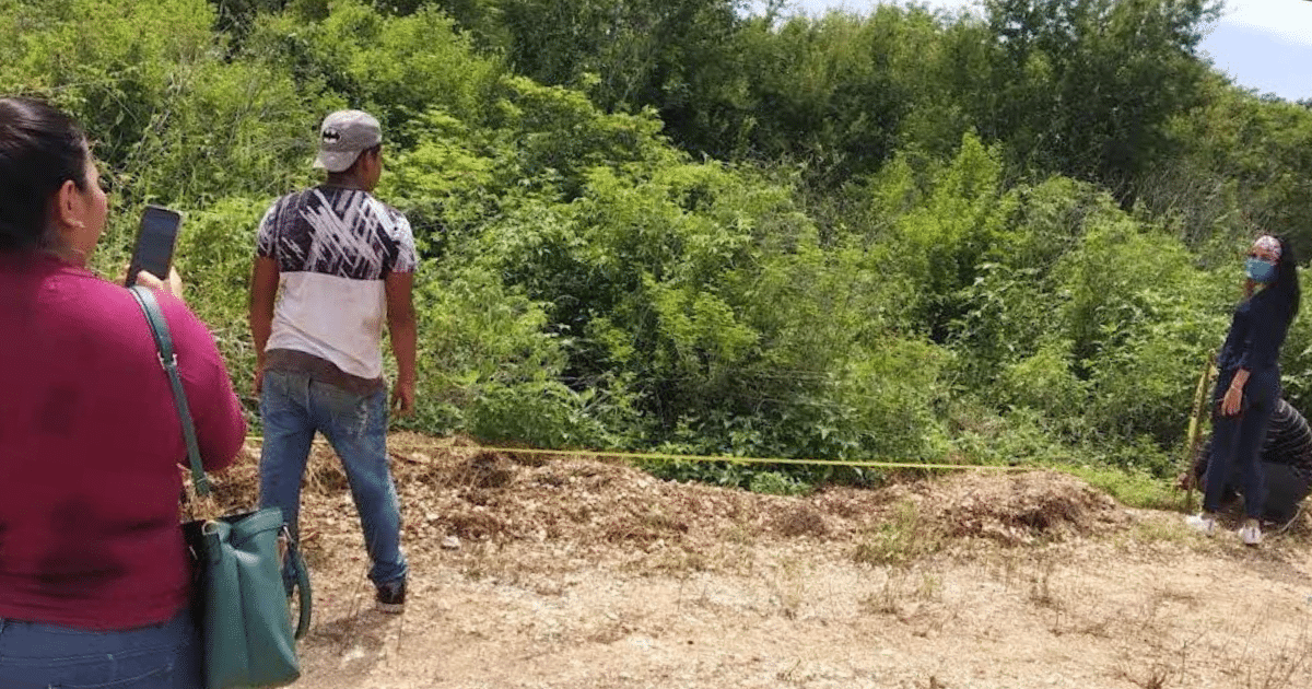 alcaldesa de mérida confirma múltiples denuncias por desmonte en la zona protegida de cuxtal