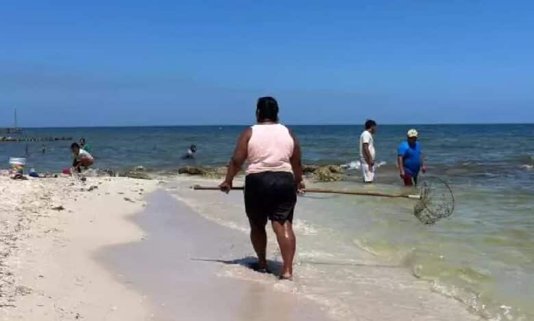 Playas de Yucatán se encuentran bajo vigilancia sanitaria
