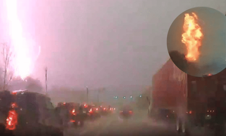 Alta repostería con frutas tropicales mexicanas un festín de color y sabor (1)