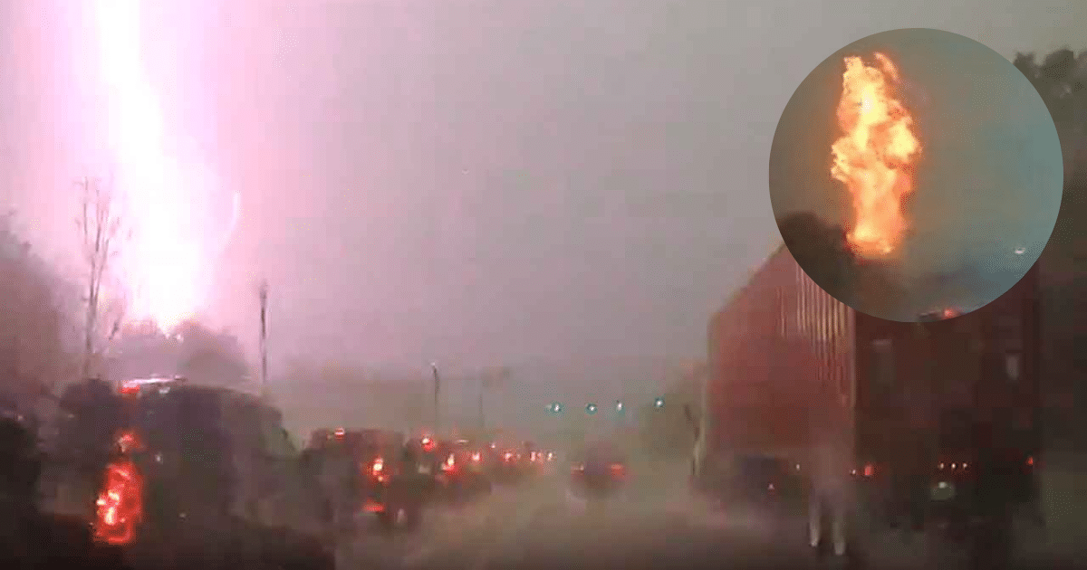 Alta repostería con frutas tropicales mexicanas un festín de color y sabor (1)