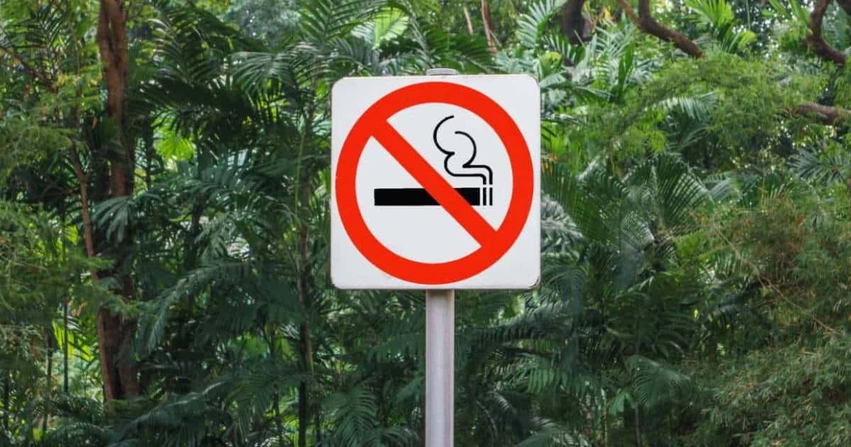 Aprueban diputados reformas para no fumar en Áreas Naturales Protegidas