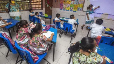 avanza educación en lengua maya en yucatán, pero buscan llegar a más comunidades