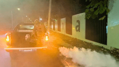 combate contra el dengue muestra disminución del 58% de casos en yucatán