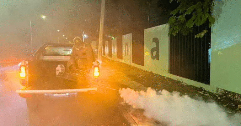 combate contra el dengue muestra disminución del 58% de casos en yucatán