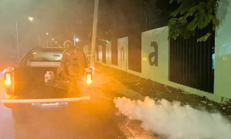 combate contra el dengue muestra disminución del 58% de casos en yucatán