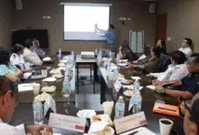 descartan marea roja en yucatán, pero detectan florecimiento algal frente a progreso