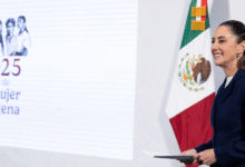 “Todos están invitados a participar, todos, aquí no se coarta el derecho de participación a nadie (…) lo que queremos es que nunca más en nuestro país regrese un fraude”, puntualizó la Presidenta
