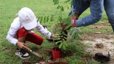 Como parte del programa Renacimiento Verde, hijas e hijos de personal de la Secihti sembraron 180 árboles nativos en Mérida, impulsando la cultura ambiental desde