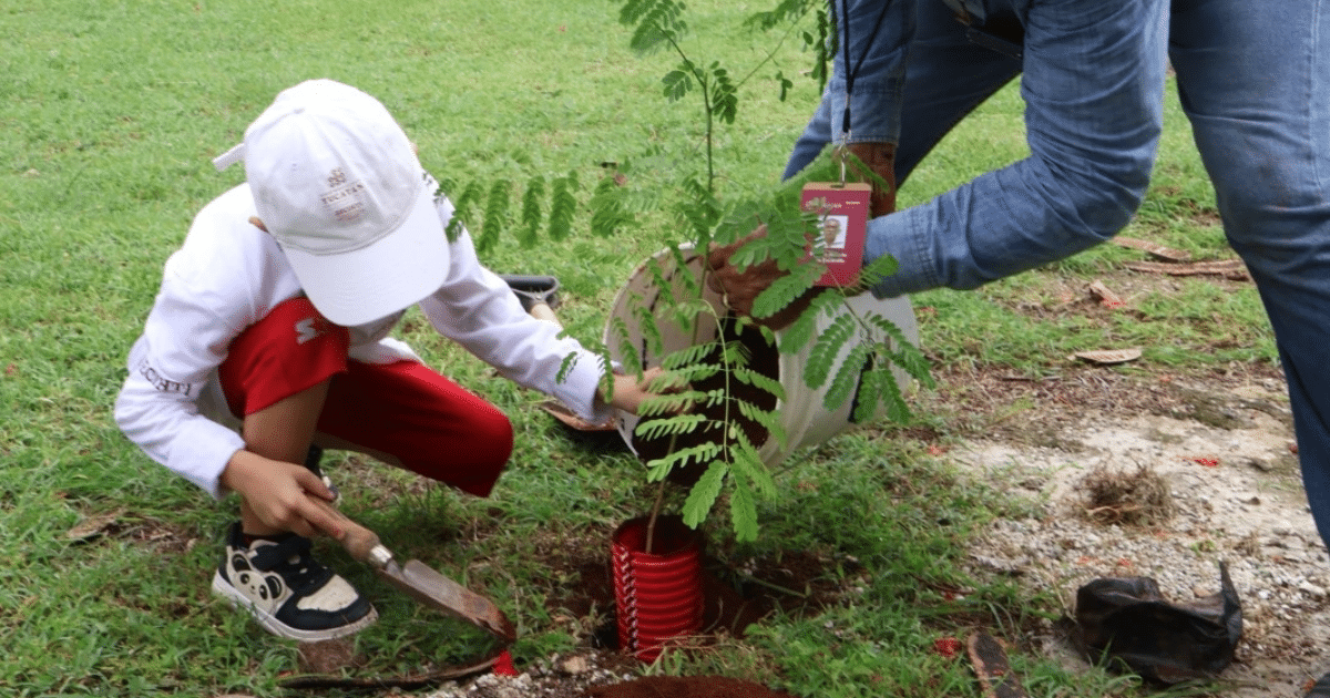 Como parte del programa Renacimiento Verde, hijas e hijos de personal de la Secihti sembraron 180 árboles nativos en Mérida, impulsando la cultura ambiental desde