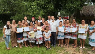 Con el respaldo de la Sefotur y el Conservatorio Cultural Gastronómico Mexicano, 12 representantes de distintos municipios recibieron la certificación EC 1084, que valida sus conocimientos y fortalece el patrimonio culinario del estado.