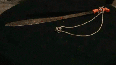 Durante la intervención, la persona reportada reaccionó de forma violenta y lesionó en la mano a un agente estatal