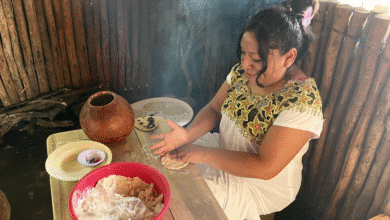 el alma del maíz vive en las manos de lizabeth