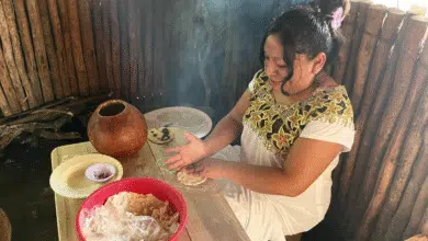 el alma del maíz vive en las manos de lizabeth