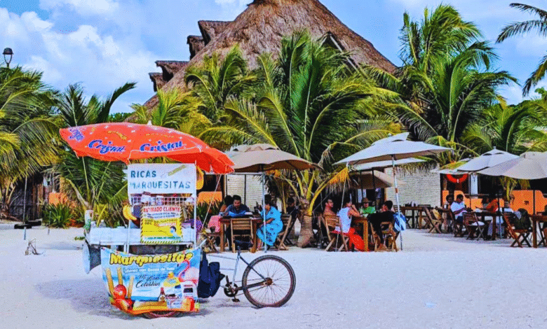 Celestún confirma que el puerto está libre de marea roja y avanza proyecto de reubicación del basurero municipal