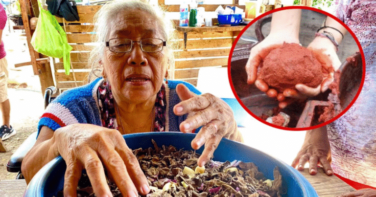 el recado, el alma ancestral del sazón yucateco que sobrevive al tiempo