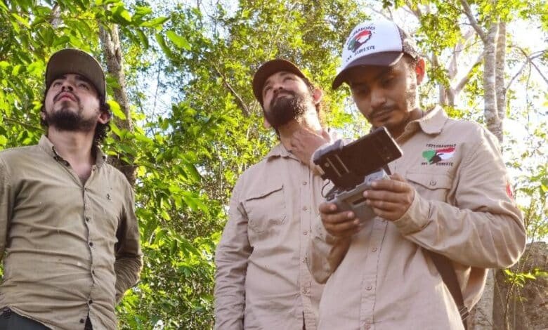 exploradores descubren antigua ciudadela maya cerca de ticum, yucatán