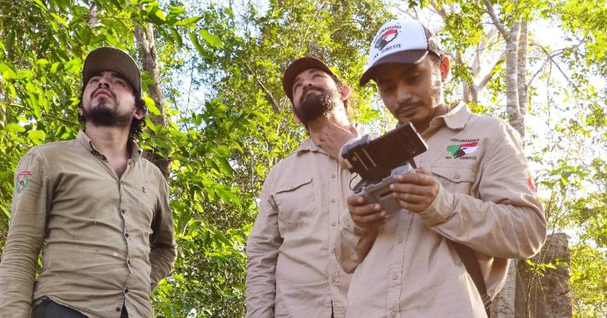 exploradores descubren antigua ciudadela maya cerca de ticum, yucatán