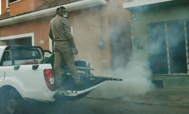 Disminuye 43.6 % la incidencia de dengue en Yucatán gracias a acciones preventivas