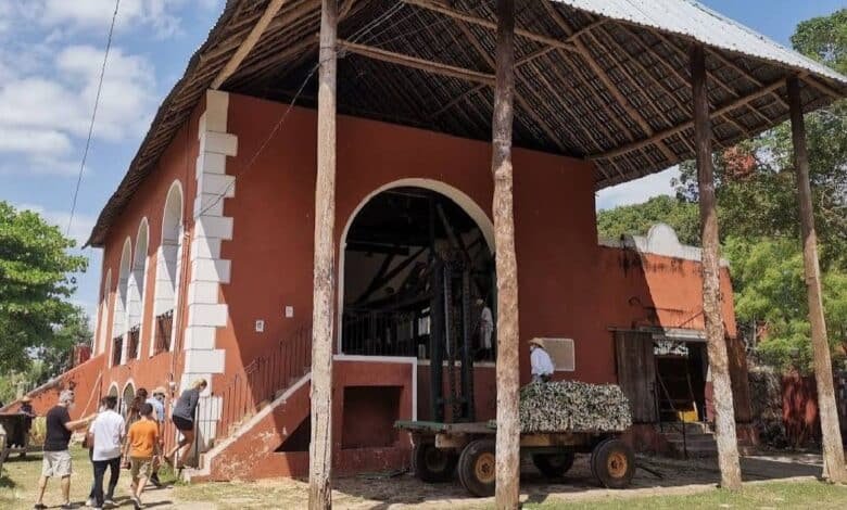 Haciendas cerca de Mérida: historia y encanto para descubrir en vacaciones