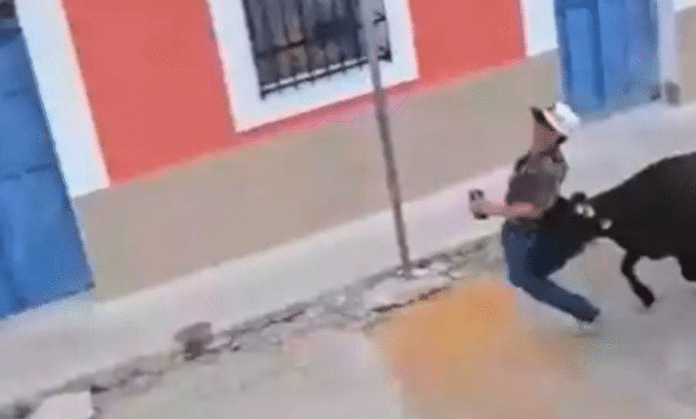 hospitalizan a joven de 15 años tras ser embestido por vaquilla en dzidzantún, yucatán