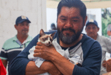 impulsan la tenencia responsable de mascotas en yucatán