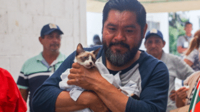 impulsan la tenencia responsable de mascotas en yucatán
