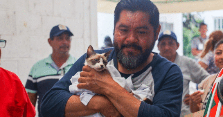 impulsan la tenencia responsable de mascotas en yucatán