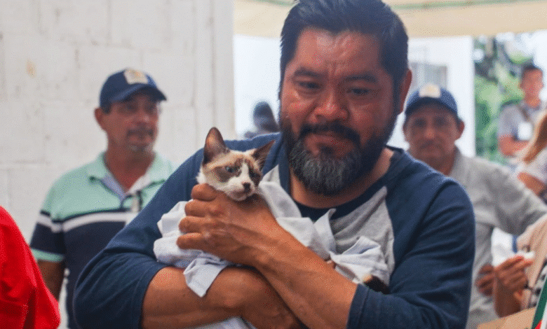 impulsan la tenencia responsable de mascotas en yucatán