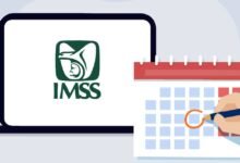 Cómo consultar tus semanas cotizadas en el IMSS (Foto de internet)