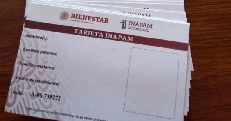 ¿Adultos mayores deben renovar credencial INAPAM en agosto 2025? (Foto de internet)