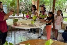 infancias del sur de mérida son parte de un curso de verano con enfoque ambiental