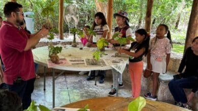 infancias del sur de mérida son parte de un curso de verano con enfoque ambiental