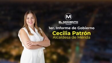 informe mérida cecilia web