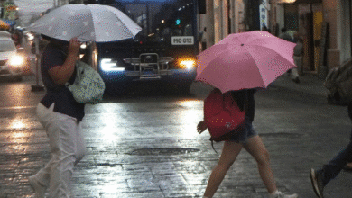 Clima en Yucatán: este sábado habrá lluvia ligera