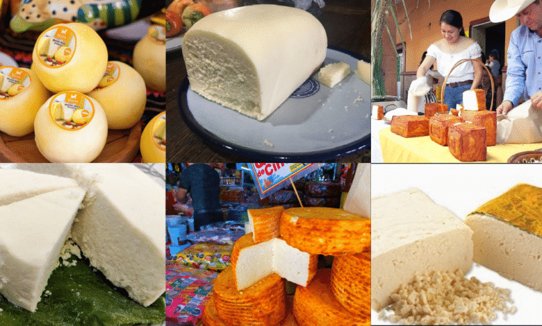 Quesos artesanales de México poco conocidos