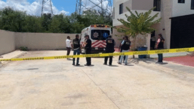 localizan a siete niños estadounidenses reportados como desaparecidos en yucatán