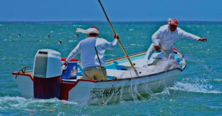 marea roja amenaza a 20 mil familias en yucatán