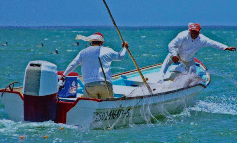 marea roja amenaza a 20 mil familias en yucatán
