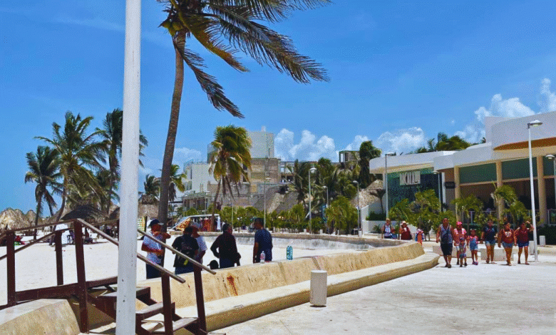 marea roja impacta al sector restaurantero en la costa de yucatán