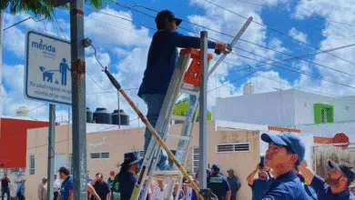 megaoperativo de limpieza y mejoras llega a la colonia pensiones