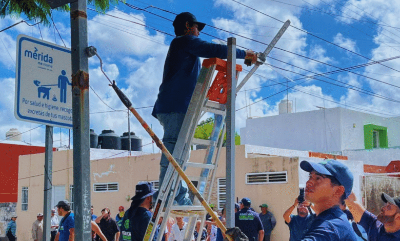 megaoperativo de limpieza y mejoras llega a la colonia pensiones