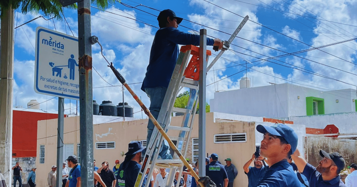 megaoperativo de limpieza y mejoras llega a la colonia pensiones