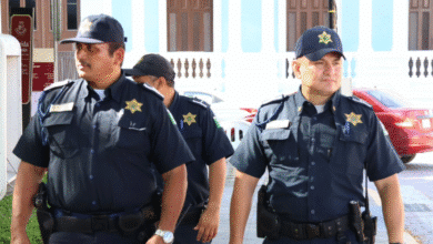 mérida cierra el verano sin delitos de alto impacto