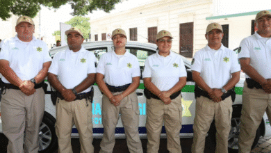 policía ecológica de mérida realiza sus primeros llamados de atención a establecimientos y ciudadanos