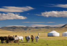 Desde las vastas estepas hasta el desierto del Gobi, el país ofrece a los visitantes la oportunidad de convivir con familias nómadas y conocer un estilo de vida que se mantiene prácticamente intacto desde hace siglos.
