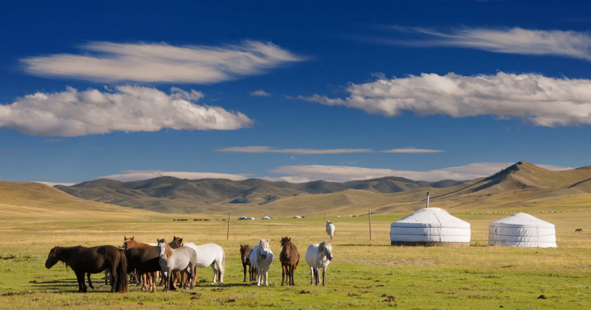Desde las vastas estepas hasta el desierto del Gobi, el país ofrece a los visitantes la oportunidad de convivir con familias nómadas y conocer un estilo de vida que se mantiene prácticamente intacto desde hace siglos.